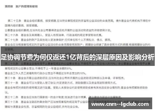 足协调节费为何仅返还1亿背后的深层原因及影响分析