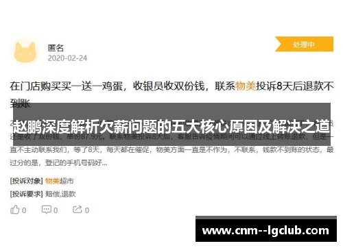 赵鹏深度解析欠薪问题的五大核心原因及解决之道 赵鹏深度解析欠薪问题的五大核心原因及解决之道