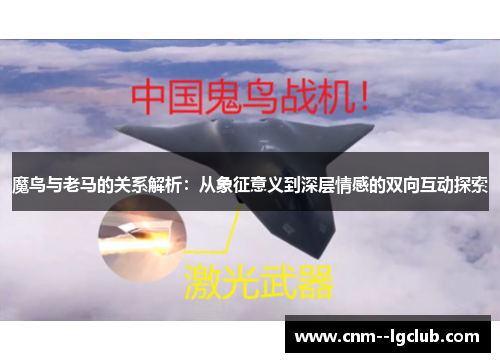 魔鸟与老马的关系解析：从象征意义到深层情感的双向互动探索